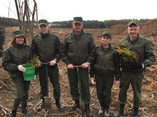 Неделя леса