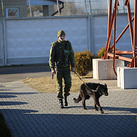 Задачи выполняются