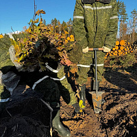 Военнослужащие Гомельского гарнизона продолжают принимать участие в акции «Дай лесу новае жыццё!»