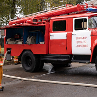 На все руки мастер