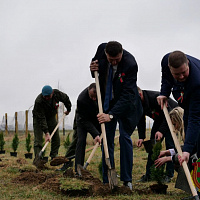 Цветы Великой Победы