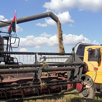 Белорусские военные продолжают оказывать помощь в уборке урожая