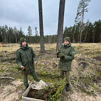 Белорусские военные продолжают участвовать в республиканской акции «Дай лесу новае жыццё!»