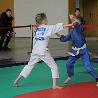 Турнир юных дзюдоистов