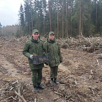 Лес – это наше богатство!