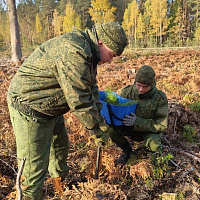 Белорусские военнослужащие продолжают участвовать в акции «Дай лесу новае жыццё!»