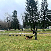 Воспитанники военно-патриотического клуба «Черный лис» побывали в гостях у  военных кинологов 