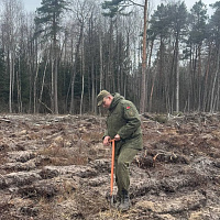 Военнослужащие 48-го отдельного батальона радиоэлектронной борьбы внесли вклад в озеленение Брестчины