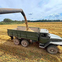 Военнослужащие продолжают помогать аграриям в уборке урожая