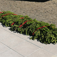 Полоцкие зенитчики посетили «Вытокi. Крок да Алiмпу»