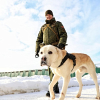 Служба одна на двоих