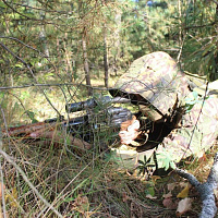 Военной разведке — 105 лет!