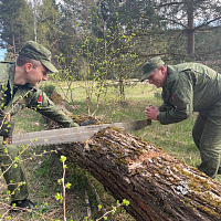 Военные медики тоже приняли участие в субботнике 
