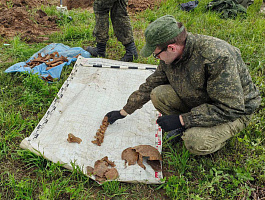На объекте в Дубровенском районе обнаружены останки двух военнослужащих Красной Армии