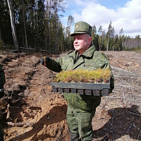 Приумножая лесной фонд страны