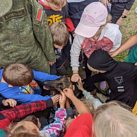 Военно-спортивная игра «Зарница»