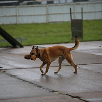 Настроены на высокий результат