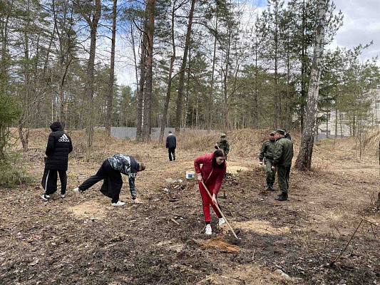 Потрудились в пяти областях