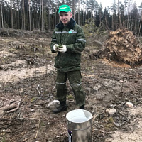 «Неделя леса»