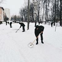 Армия не стоит в стороне