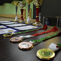 Турнир по пулевой стрельбе и стрельбе из лука