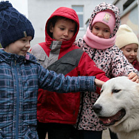 Военнослужащие в гостях у школьников