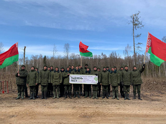 Неделя леса