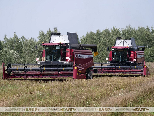 Военнослужащие оказывают помощь в уборке урожая