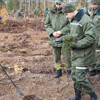 Белорусские военные принимают активное участие в акции «Дай лесу новае жыццё!»