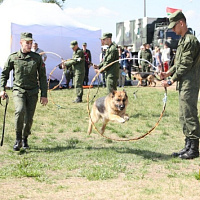 День Независимости — у Кургана Славы