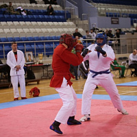 Завершился открытый чемпионат Военной академии Республики Беларусь по армейскому рукопашному бою