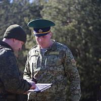 Задачи выполняются