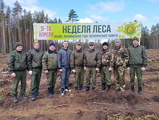 Наведение порядка на своей земле – дело благородное