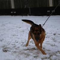 Они всегда начеку