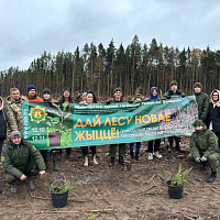 Белорусские военные продолжают участвовать в республиканской акции «Дай лесу новае жыццё!»