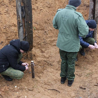 Полученные навыки бесценны