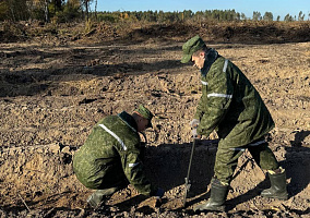 Белорусские военные продолжают участвовать в акции «Дай лесу новае жыццё!»