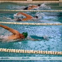 Подведены итоги соревнований по плаванию