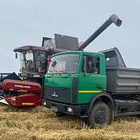 Военные связисты присоединились к уборке урожая