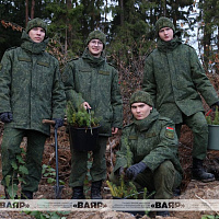 Военнослужащие ВВС и войск ПВО присоединились к республиканской акции «Дай лесу новае жыццё»