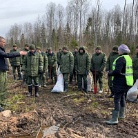 Неделя леса