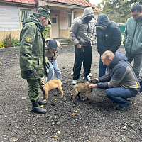 Учащиеся Борисовского государственного строительного колледжа посетили кинологический центр Вооружённых Сил