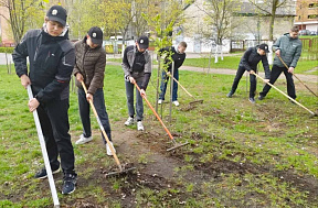 Забота и память 