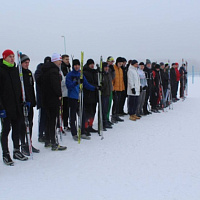 Чемпионат по лыжным гонкам