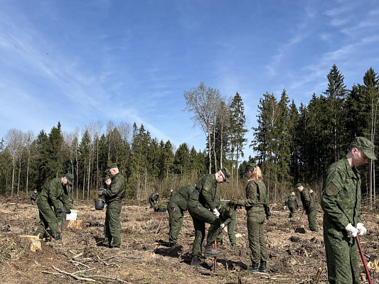 Военнослужащие 62 ЦУС приняли участие в акции «Лес! Добро! Порядок»