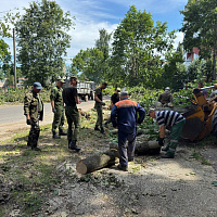 Военнослужащие помогают в устранении последствий непогоды в Могилёве
