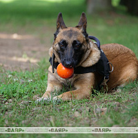 Около 70 ребят из Минска прибыли на вторую лагерную смену во 2-ю инженерную бригаду