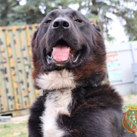 Держат ухо востро