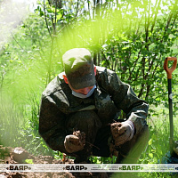 Поисковые работы 52 оспб