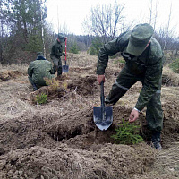 Сделали благородное дело